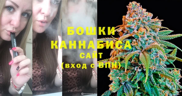 прущие грибы Заводоуковск