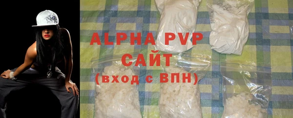 прущие грибы Заводоуковск