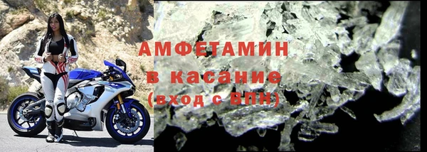 прущие грибы Заводоуковск