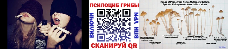 Галлюциногенные грибы Magic Shrooms  цена   omg зеркало  Кирово-Чепецк 