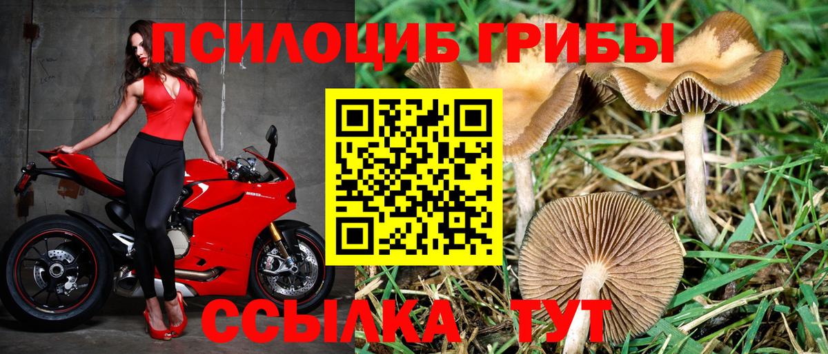 Галлюциногенные грибы мицелий Кирово-Чепецк